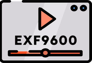 贵金属检测仪EXF9600产品介绍