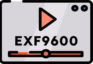 贵金属检测仪EXF9600产品介绍